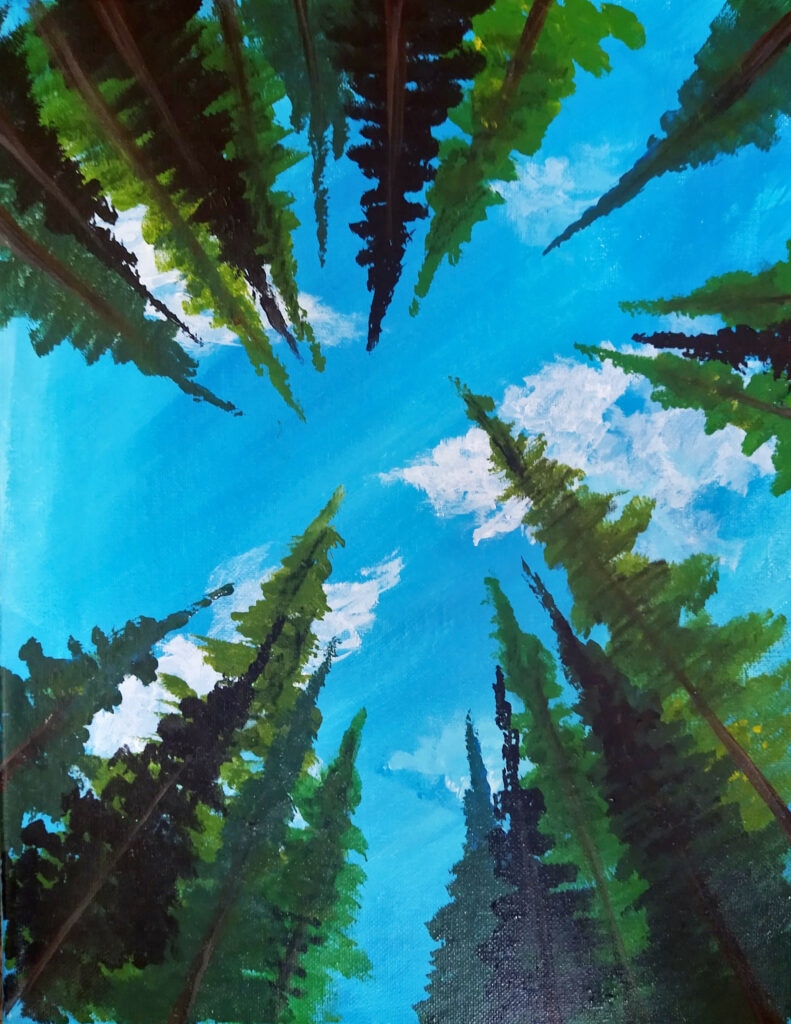 Acrylic painting lessons in centralia