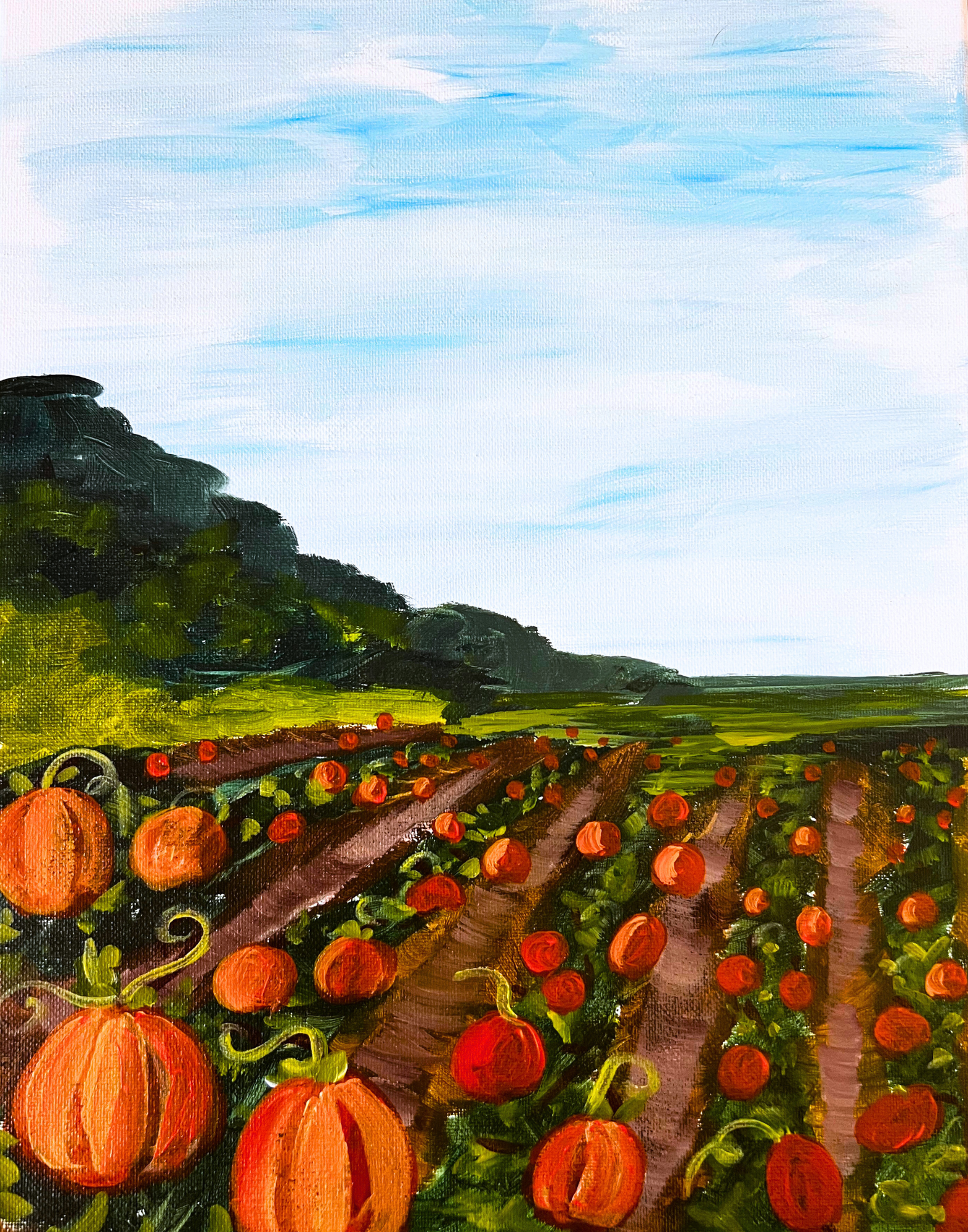 Pumpkin patch activites in washington state tacoma olympia lacey, dupont, yelm
