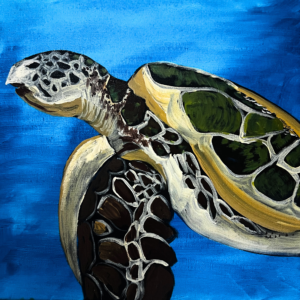 easy beginner friendly paint and sip class image of sea turtle